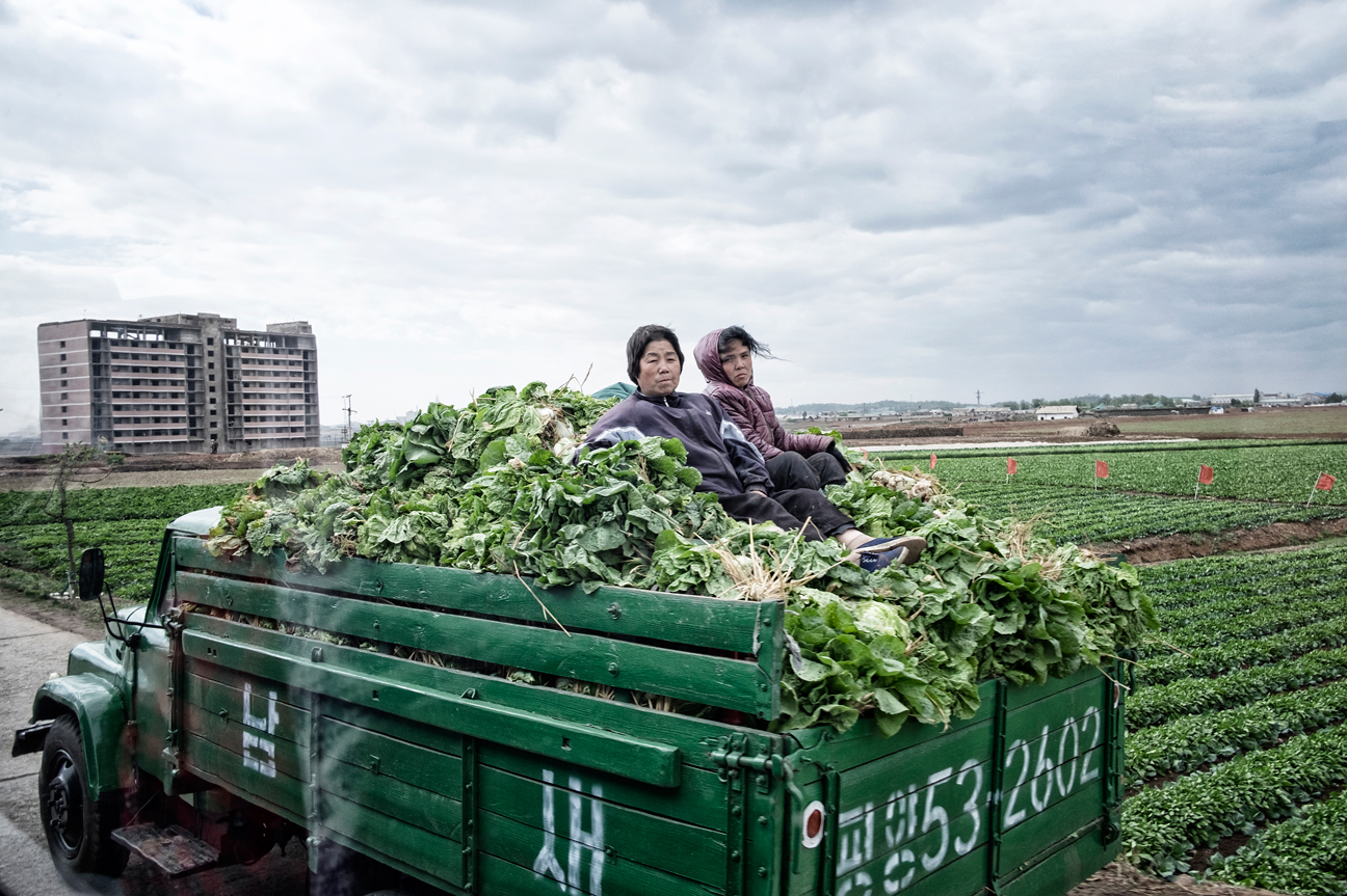 Arbeiterinnen mit ihrer Ernte in der Nähe von Pyongyang.