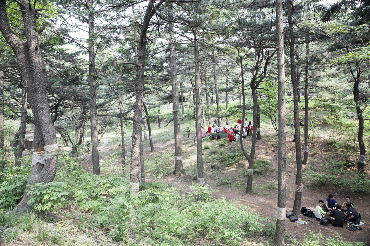 Familien picknicken in einem Park in Pyongyang.